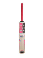 SS Ikon Kashmir Willow Cricket Bat - Image 2
