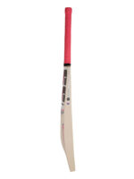 SS Ikon Kashmir Willow Cricket Bat - Image 3